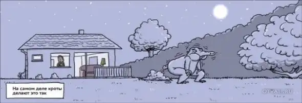 Комиксы обо всем...