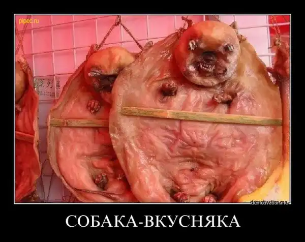 Демы жесть
