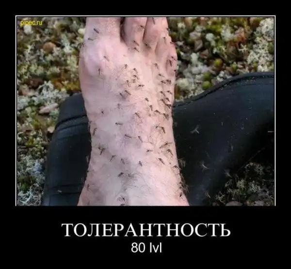 Демы жесть