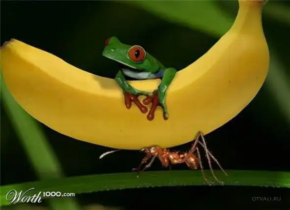 Фотошоп: невозможное возможно.