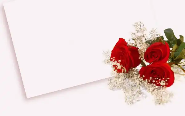 40_Roses_Full_HD_Wallpapers