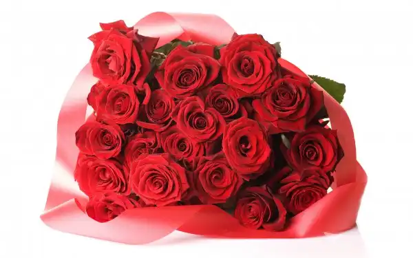 40_Roses_Full_HD_Wallpapers