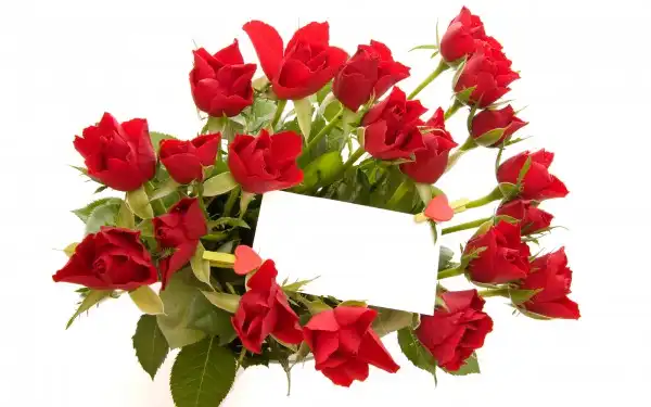 40_Roses_Full_HD_Wallpapers