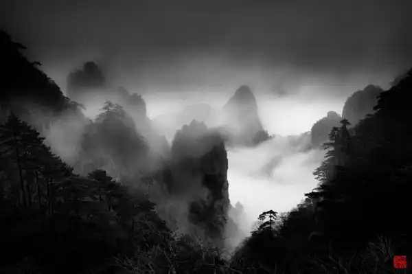 Фотограф Art Wolfe