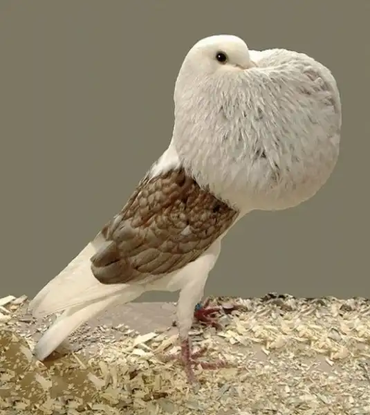 Рандомная фотоподборка (110)