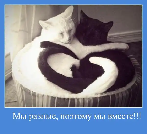 Добро пожаловать в реальный мир.