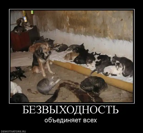 Добро пожаловать в реальный мир.