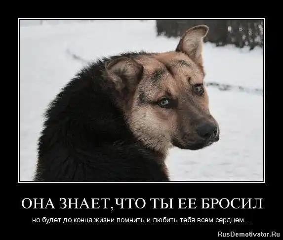 Добро пожаловать в реальный мир.