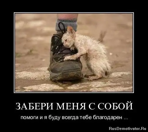 Добро пожаловать в реальный мир.