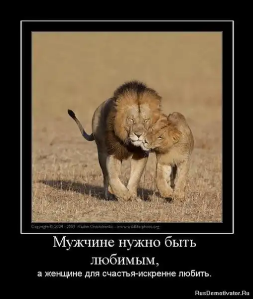 Добро пожаловать в реальный мир.