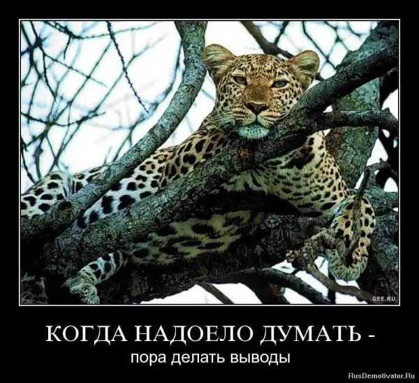 Добро пожаловать в реальный мир.