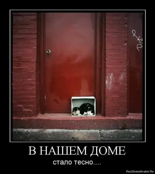 Добро пожаловать в реальный мир.