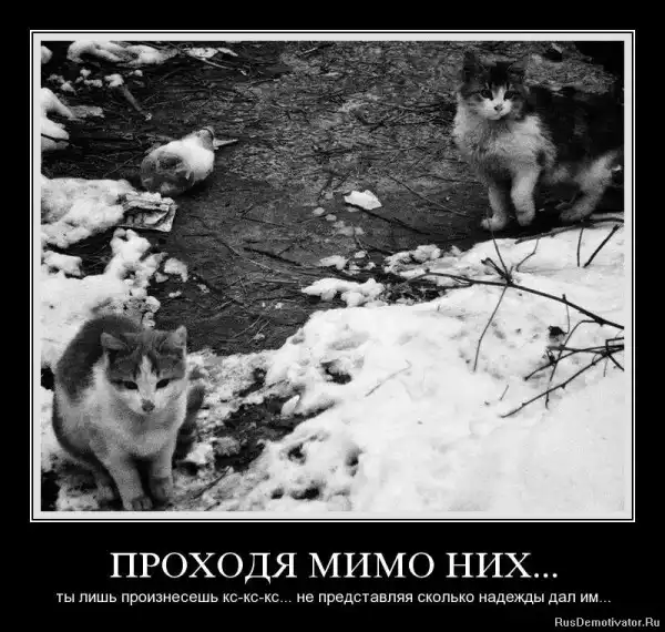Добро пожаловать в реальный мир.