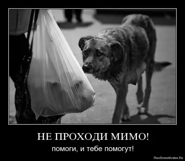 Добро пожаловать в реальный мир.