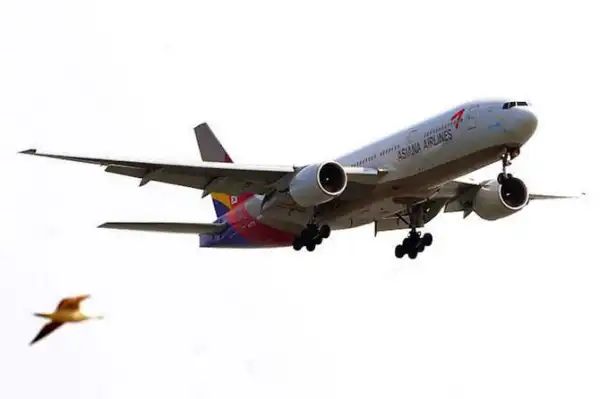 Лучшие авиакомпании мира - World Airline Awards 2011