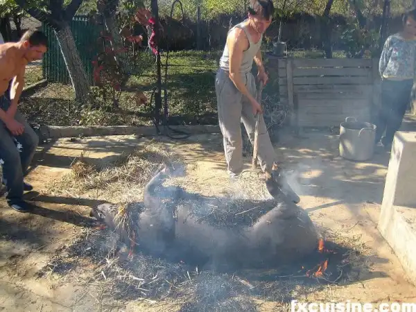 Из порося в колбасу.