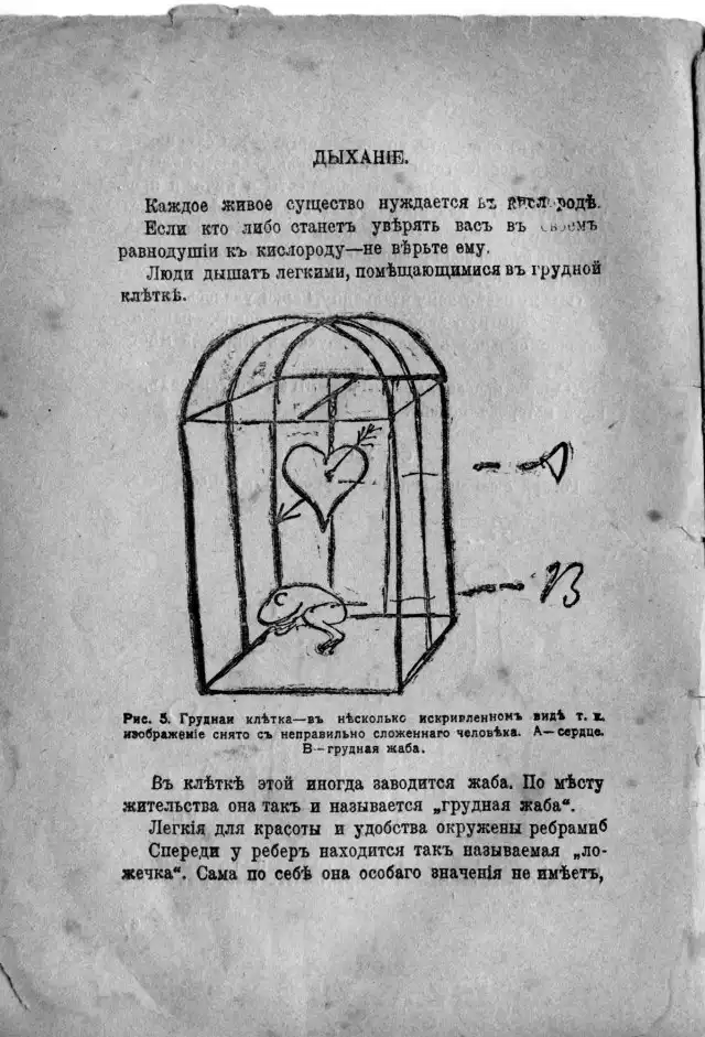 Журнал "Анатомия и физиология человека", 1916 год. Журнал "Анатомия и физиология человека", 1916 год.