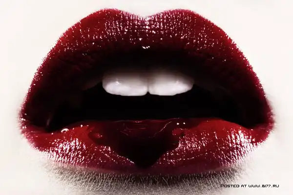 Фотограф Carsten Witte