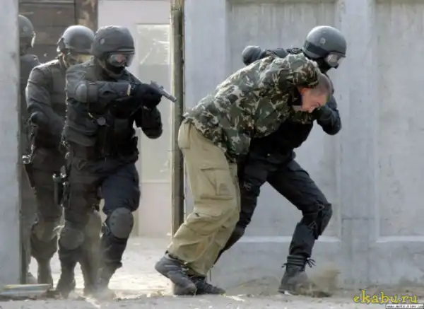 Рыбак рыбака