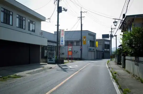 Япония – 5 месяцев после удара стихии