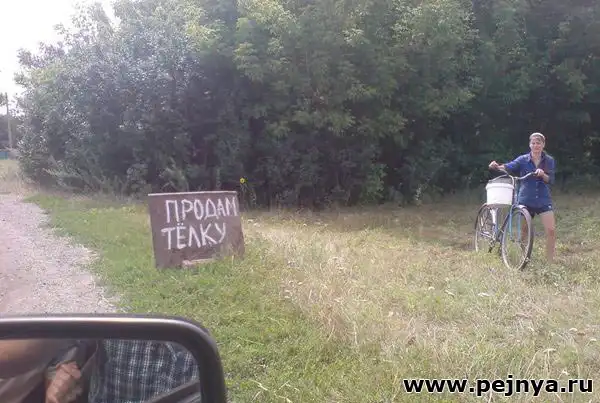 Прикольные таблички и объявления