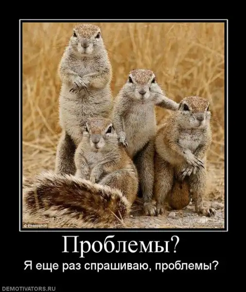 Немножко Демов)