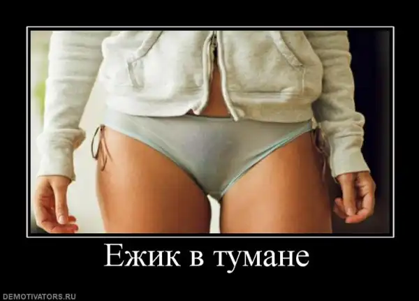 Немножко Демов)