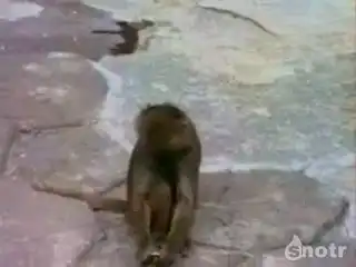 Сам себя напугался:) Сам себя напугался:)
