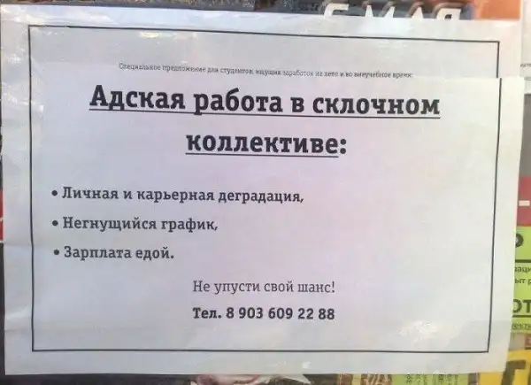 Прикольные фотографии(много)