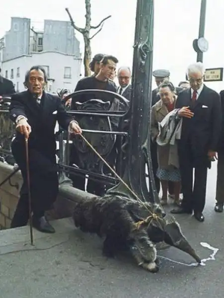 Прикольные фотографии(много)