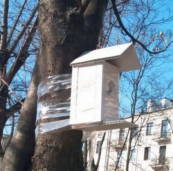 Прикольные фотографии(много)