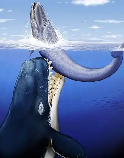 Когда моря и океаны были другими... Когда моря и океаны были другими...