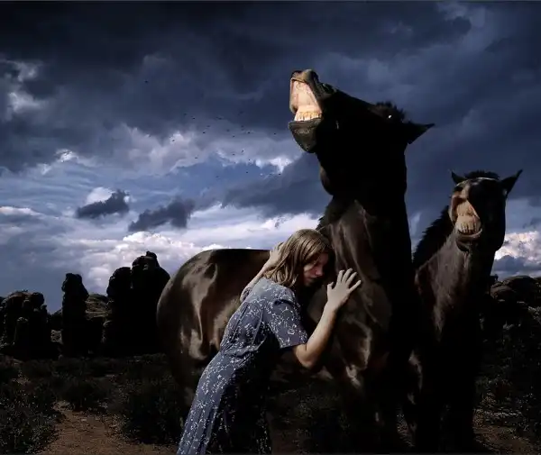 Фотограф Tom Chambers