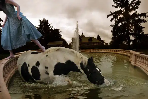 Фотограф Tom Chambers
