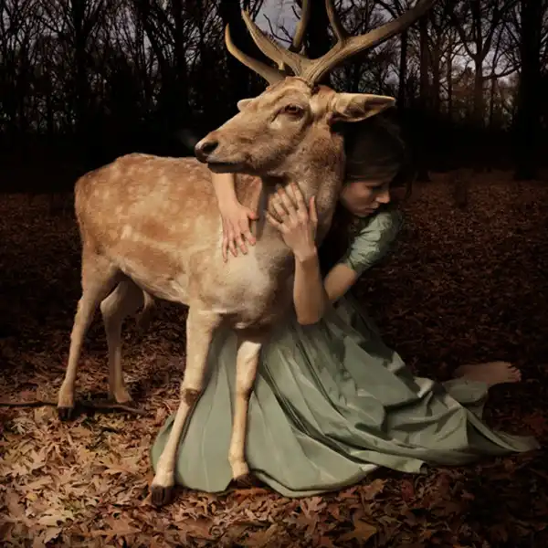 Фотограф Tom Chambers