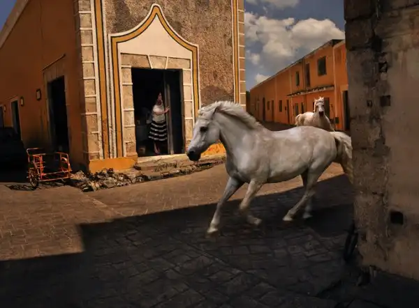 Фотограф Tom Chambers