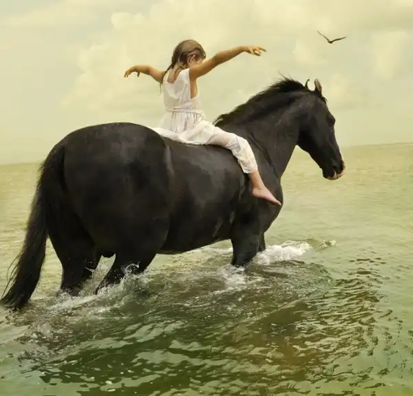 Фотограф Tom Chambers