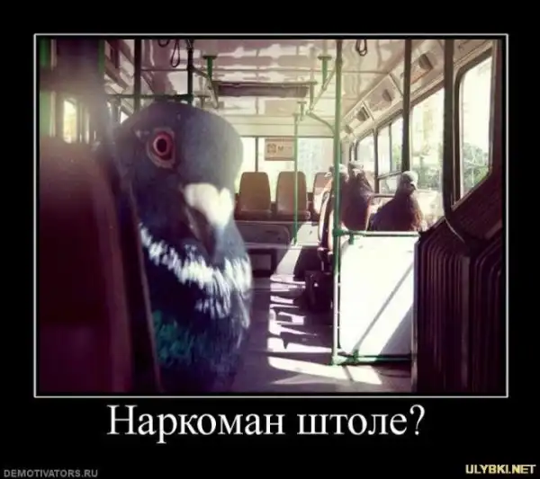 Свежие смехуечки.