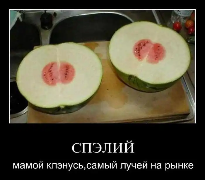 Демотиваторы Демотиваторы