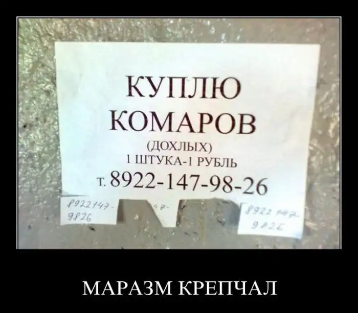 Демотиваторы Демотиваторы