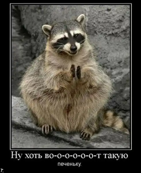 ДЕМОТИВАЦИЯ 2003