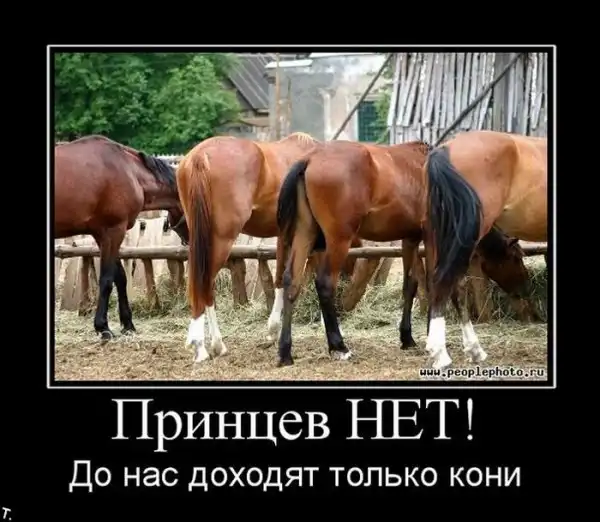 ДЕМОТИВАЦИЯ 2003