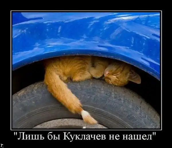 ДЕМОТИВАЦИЯ 2003