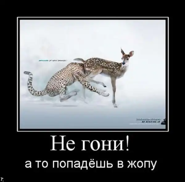ДЕМОТИВАЦИЯ 2003