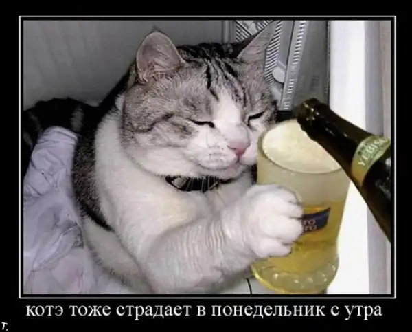 ДЕМОТИВАЦИЯ 2003