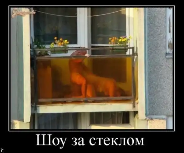 ДЕМОТИВАЦИЯ 2003