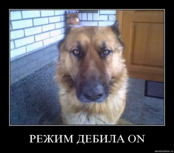 ДЕМОТИВАЦИЯ 2003