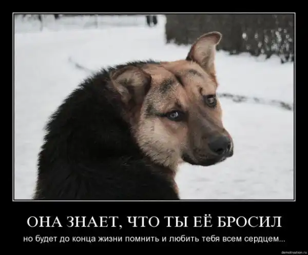 ДЕМОТИВАЦИЯ 2003
