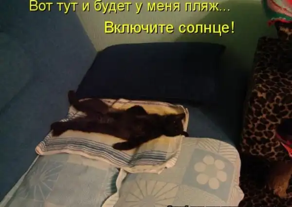Котоматрицы
