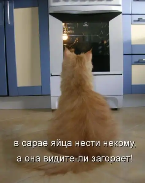 Котоматрицы